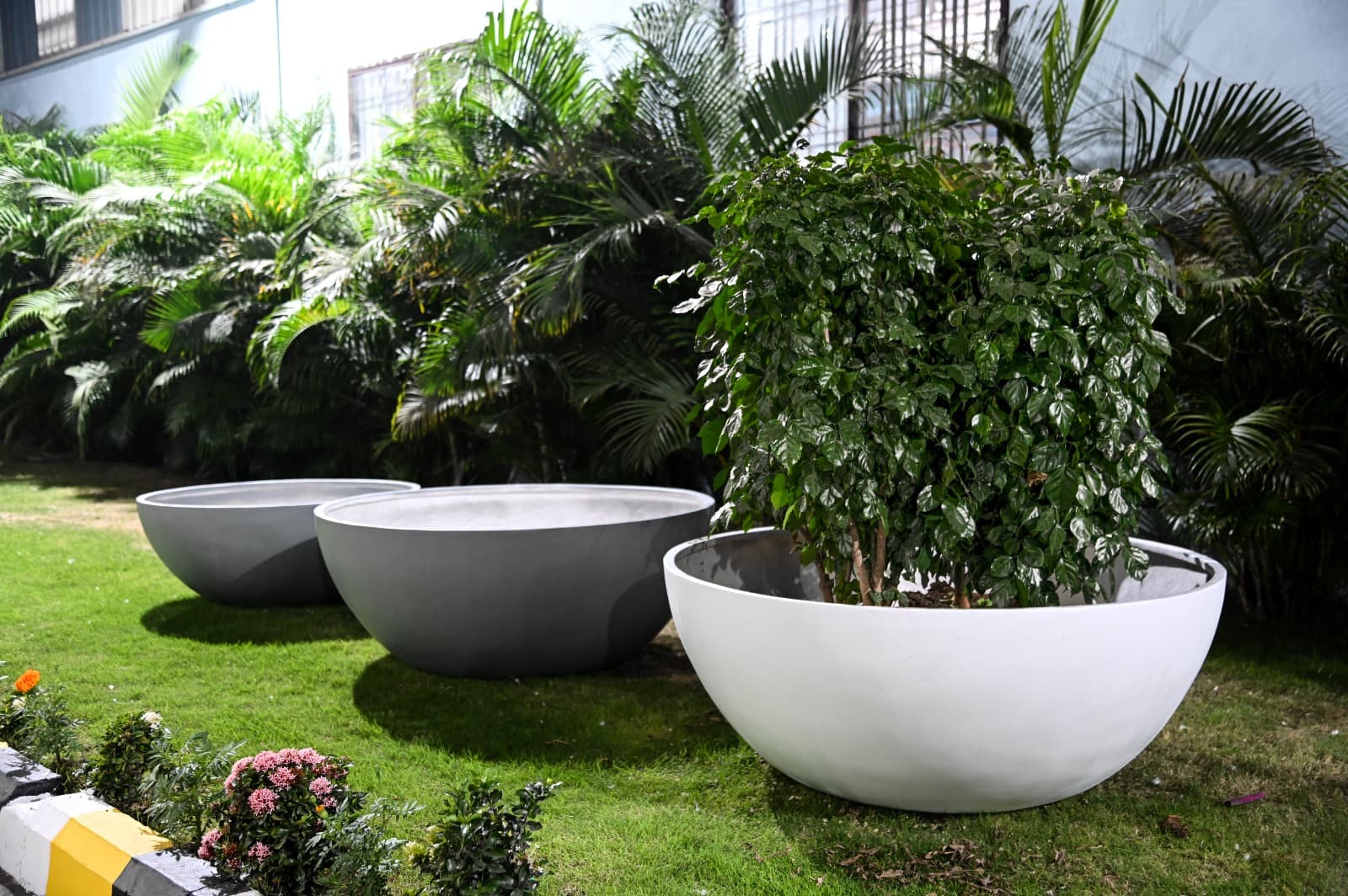 Commercial Planters