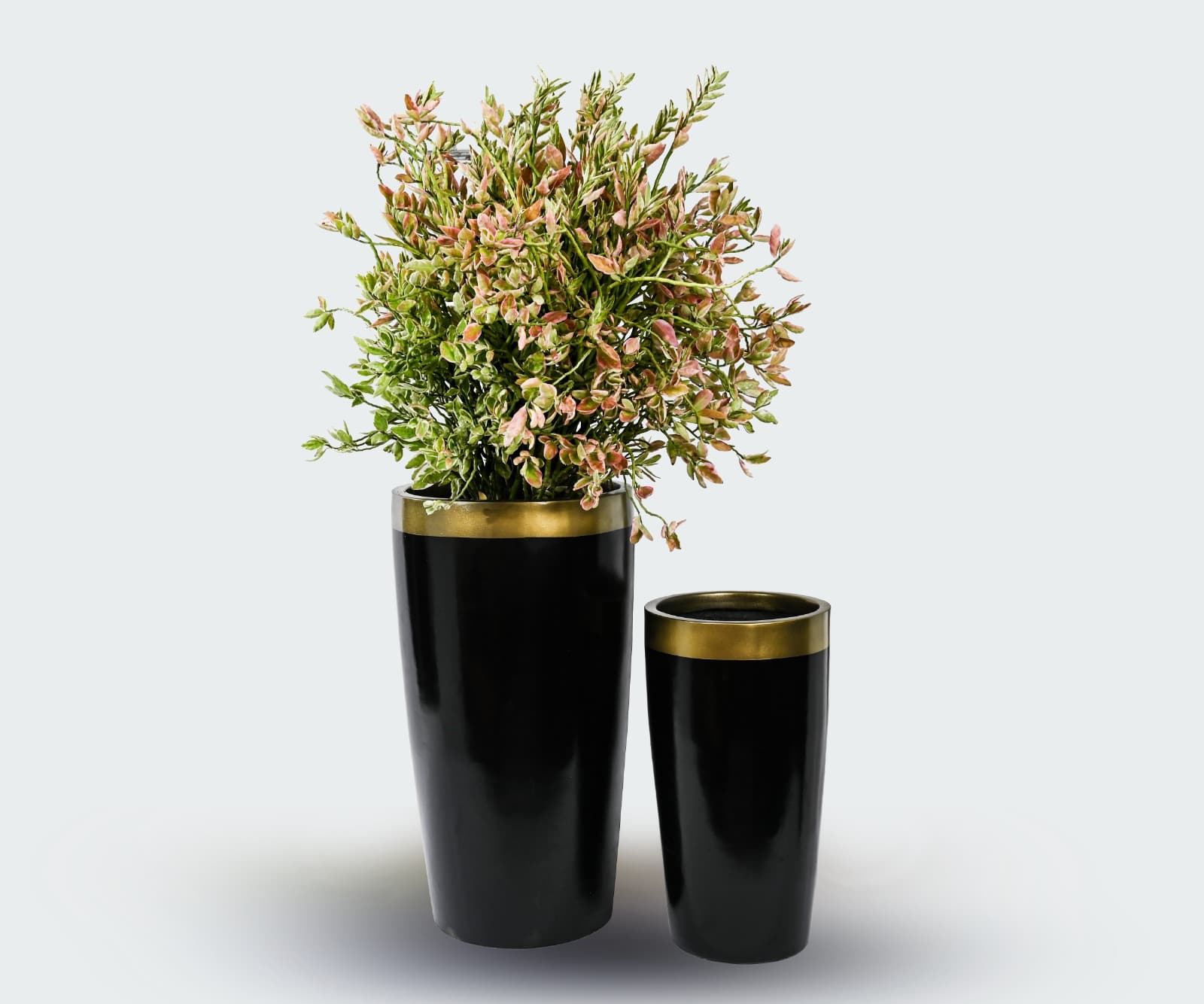 JIGO Planter 2