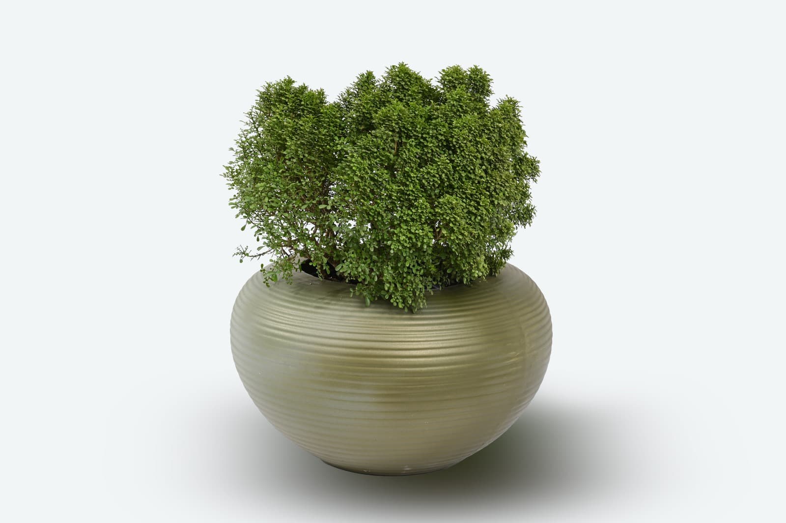 JIGO Planter 7