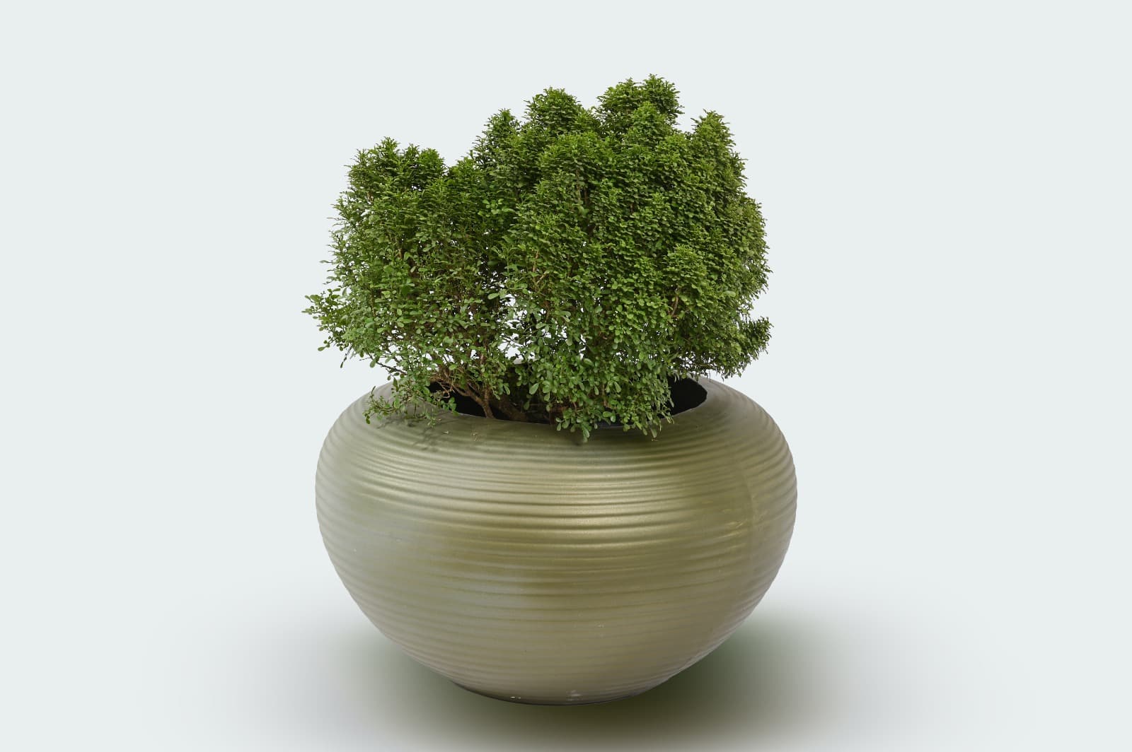 JIGO Planter 8